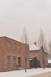 Similar image 21426053