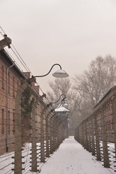 Similar image 21426058