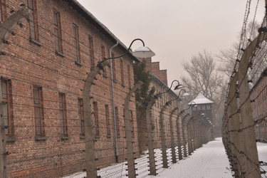 Similar image 21426059