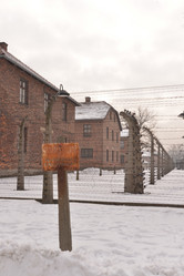 Similar image 21426065