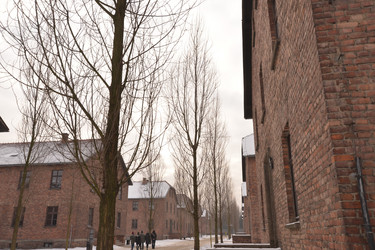 Similar image 21426071