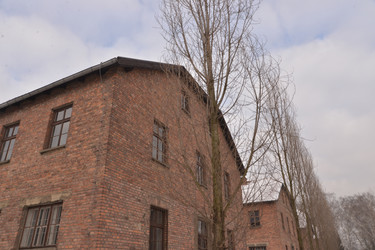 Similar image 21426073