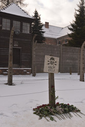 Similar image 21425951