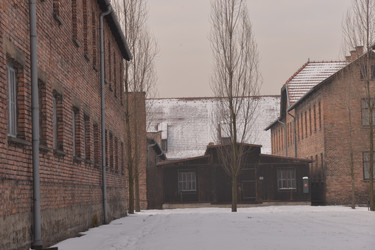 Similar image 21425955