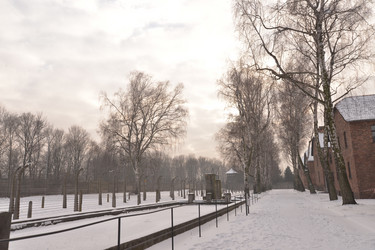 Similar image 21425957