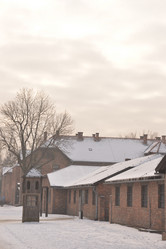 Similar image 21426075