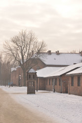 Similar image 21426076