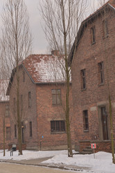 Similar image 21426083