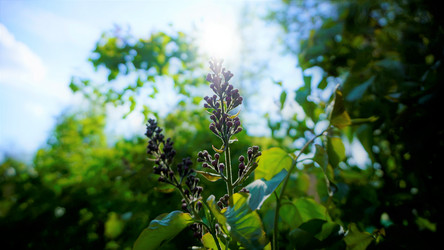 Similar image 21430841