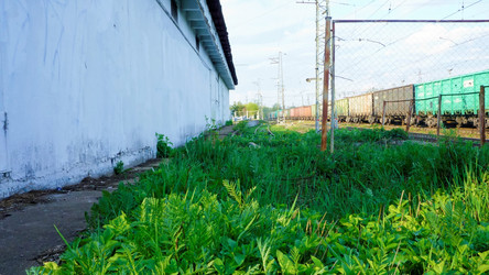 Similar image 21426204