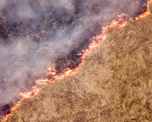 Similar image 21431920