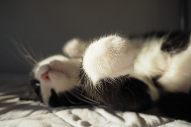 Similar image 21430842