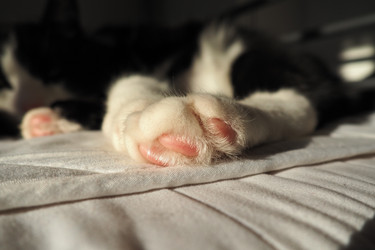 Similar image 21430843