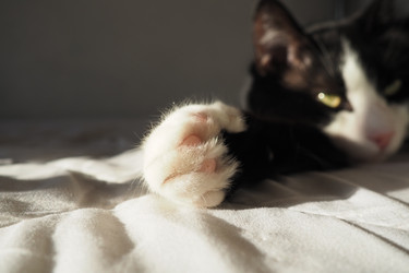 Similar image 21430844