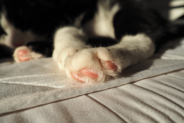 Similar image 21430845