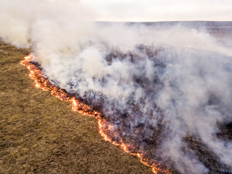 Similar image 21429707