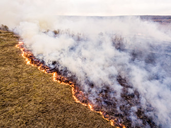 Similar image 21430012