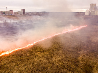 Similar image 21430257