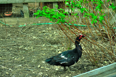 Similar image 21426409