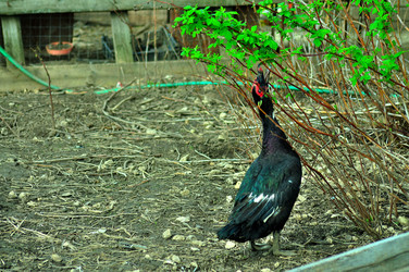 Similar image 21426410