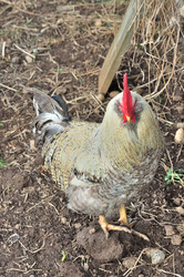 Similar image 21426413