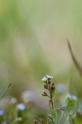 Similar image 21426439