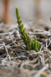 Similar image 21426444