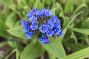 Similar image 21426445