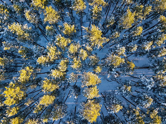 Similar image 21430518