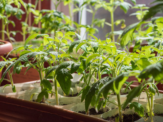 Similar image 21426446