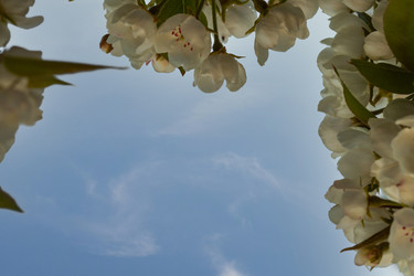 Similar image 21426451