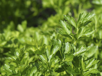 Similar image 21426452