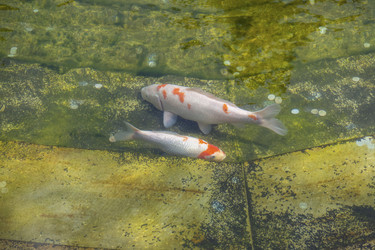 Similar image 21426453