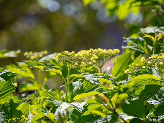 Similar image 21426456