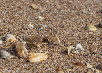 Similar image 21426457