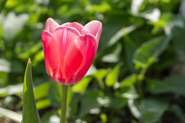 Similar image 21426466