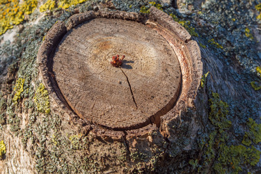 Similar image 21426468