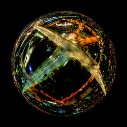 Similar image 21431990