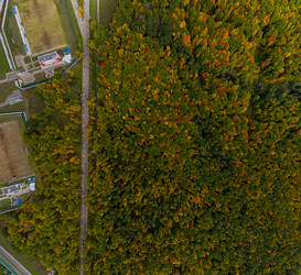 Similar image 21428428