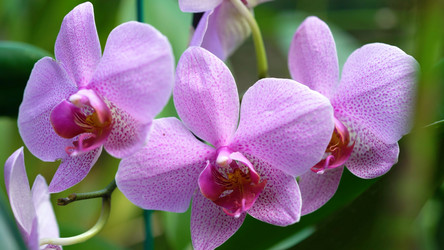 Similar image 21426480