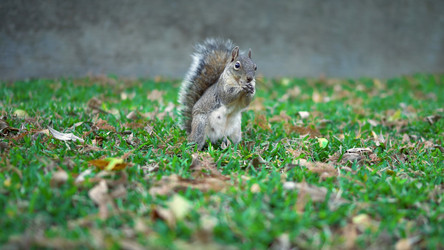 Similar image 21426482