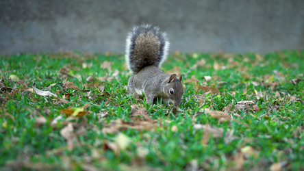 Similar image 21426483