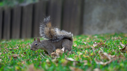 Similar image 21426486