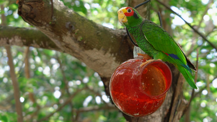 Similar image 21426488