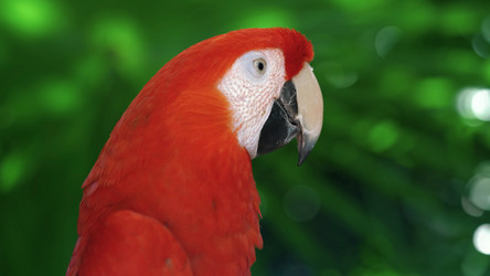 Similar image 21426489