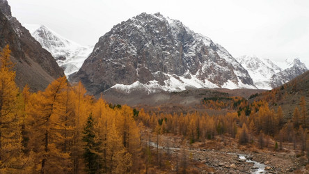 Similar image 21426492