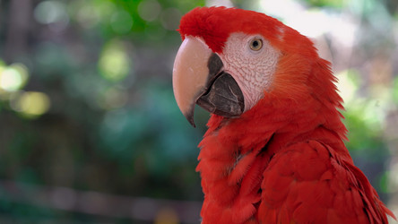 Similar image 21426494