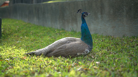 Similar image 21426499