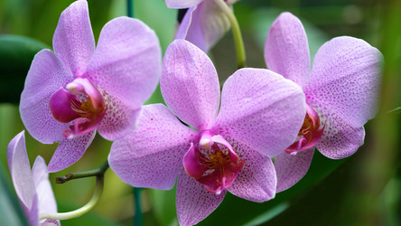 Similar image 21426500