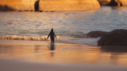 Similar image 21430850